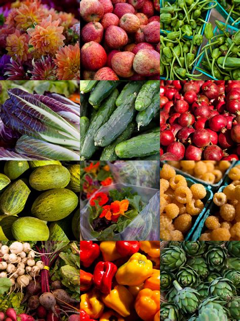 Weston Walker Media: Santa Cruz Farmers Market