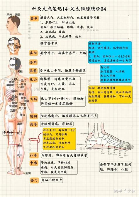 《针灸大成笔记》——倪海厦老师视频整理（建议收藏） - 知乎