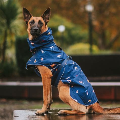 Dog Raincoat