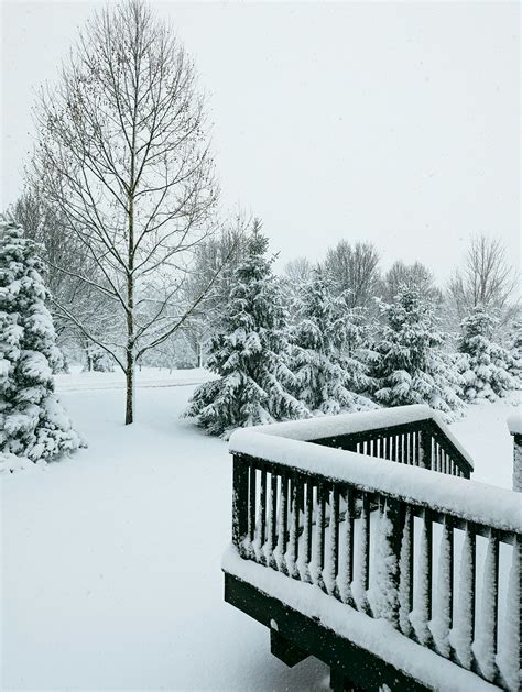 Nike+Pro+Ass Photos, Download The BEST Free Nike+Pro+Ass Stock Photos ...