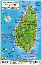 St. Lucia Dive Map & Reef Creatures Guide Waterproof India | Ubuy