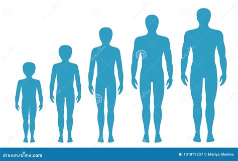Aging Process Cartoon 的图像结果