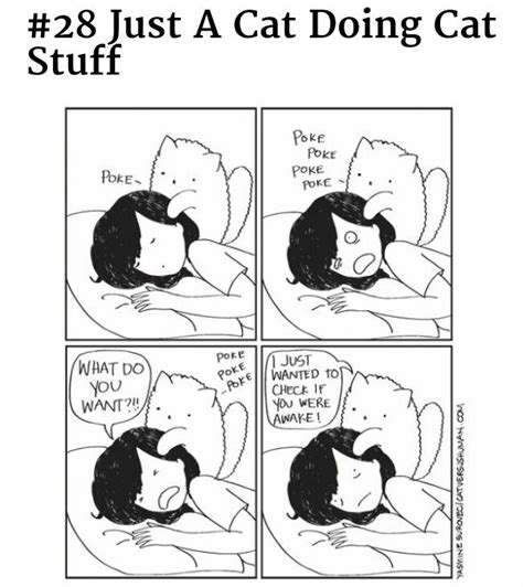 Image result for Example of Programming Assignment