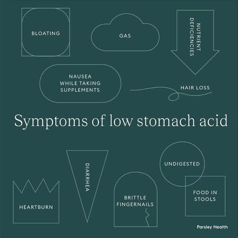 Low Stomach Acid Levels (Hypochlorhydria): Symptoms, Causes, And Holistic Treatments