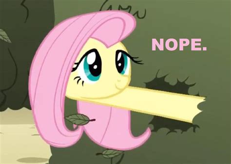 Fluttershy, do you like R34? by Crackerjack-Pony on DeviantArt