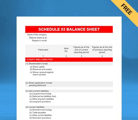 Schedule III Balance Sheet Format | Free Download