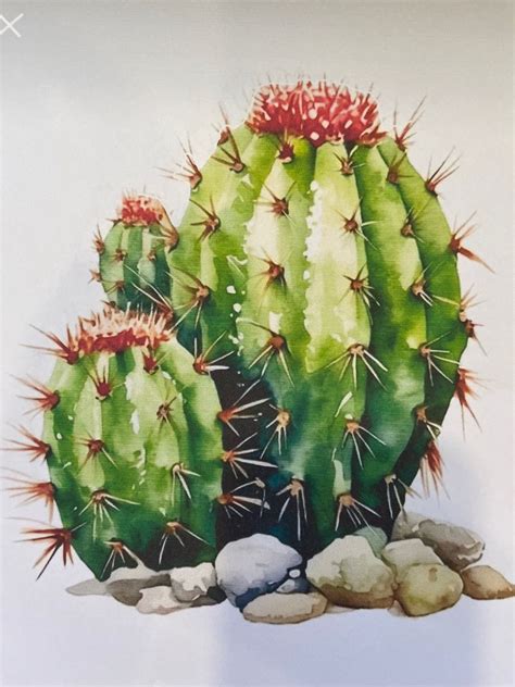 Pin by Melanie Brower on Art | Cactus painting, Cactus art, Watercolor ...