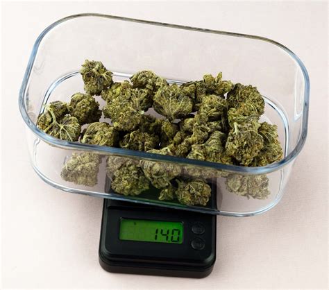 Weed Measurements: A Visual Guide - Sensi Seeds