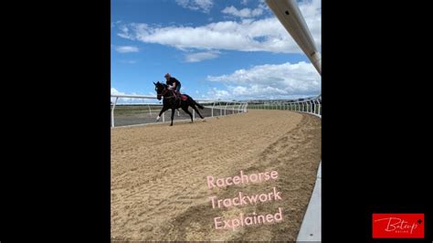 Image result for Trackwork Car Tutorial