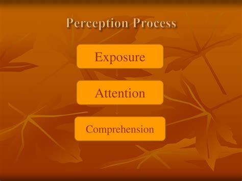Perception Process Steps Image 的图像结果