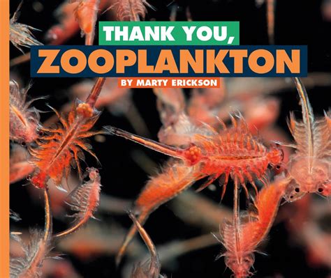 Thank You, Zooplankton (Animals We Can't Live Without) : Erickson ...