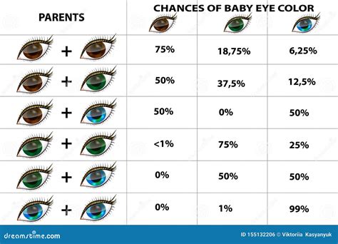 eye color chart genetics - analyzing eye color genetics chart and what ...