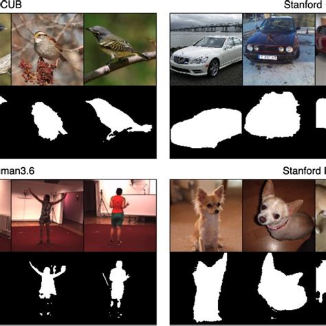 Image result for Image Segmentation Using Unsupervised Learning