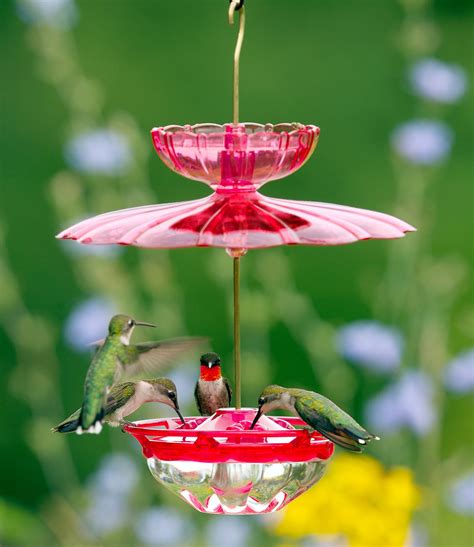 Aspects HummBlossom Feeder Set | Humming bird feeders, Bird feeders ...