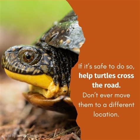 5 ways 6.jpg | FWS.gov