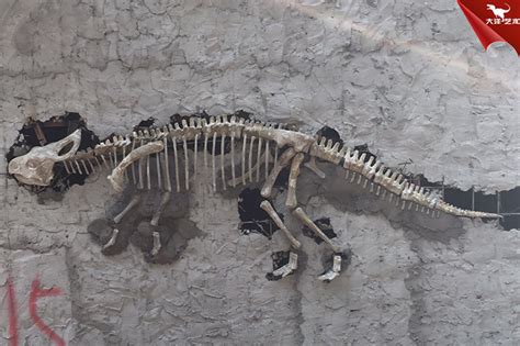 在的恐龙化石显示，自然历史博物馆，伦敦 编辑类照片. 图片 包括有 自然, 博物馆, 恐龙, 历史记录, 水平 - 73573466