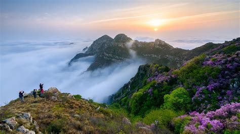 Beauty in Nature 的图像结果
