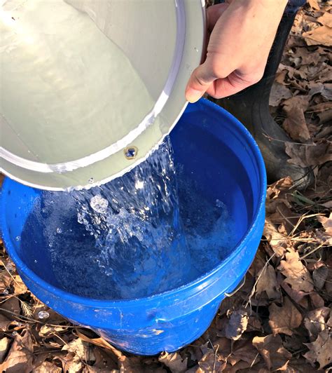 Maple Syrup Drink Water at Stephanie Fleming blog