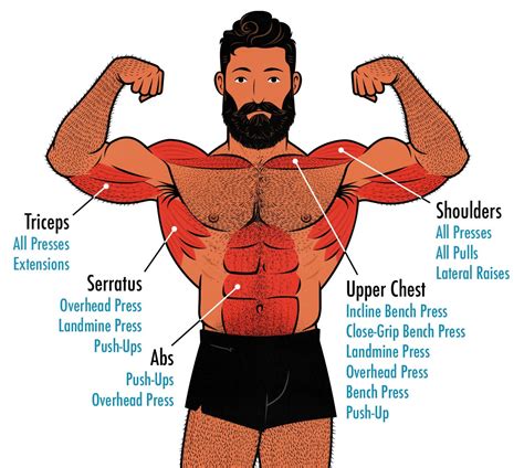 The Best Shoulder Day Workout for Building Muscle – Outlift