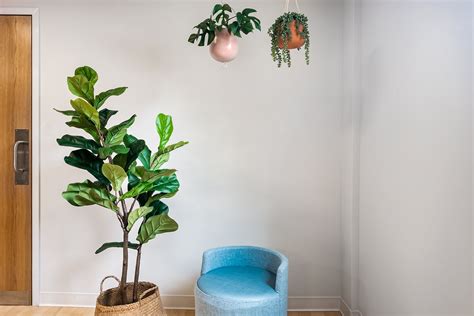 Charlotte Planned Parenthood — Blackwell & Jennings | Health and ...