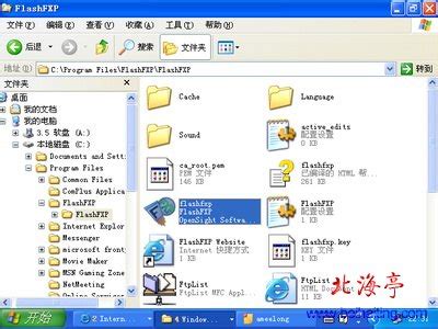 不用工具查看FlashFXP里的FTP账号密码 - 枫芸志