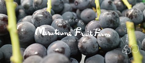 ABOUT | まるつね果樹園 ／Marutsune Fruit Farm