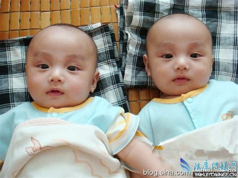 双胞胎姐妹共用一老公，生双胞胎有遗传性吗？_法库传媒网
