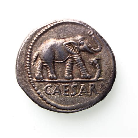 Julius Caesar Silver Denarius 46BC Exceptional : Silbury Coins