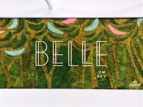 Gallery - Belle on Bev — Planted Design