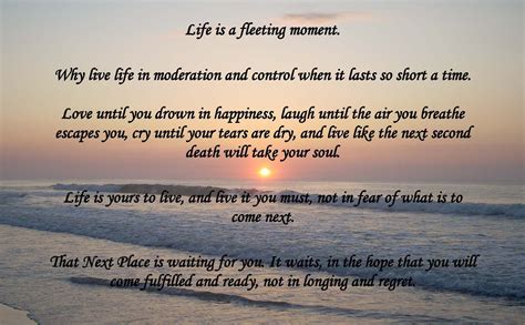 Fleeting Moment Meaning at Jimmie Mireles blog