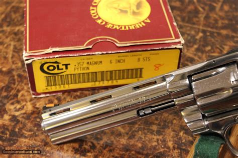 Image result for Bright Colt Python 2 1 2