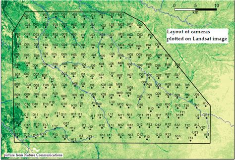 Candid camera spies on nature