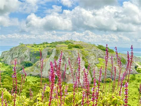 LUZAYA - All You SHOULD Know Before Going 2026 (with Photos) - Tripadvisor