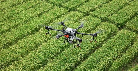 IIIT Raipur taps drones to detect diseases and insects in crops and ...