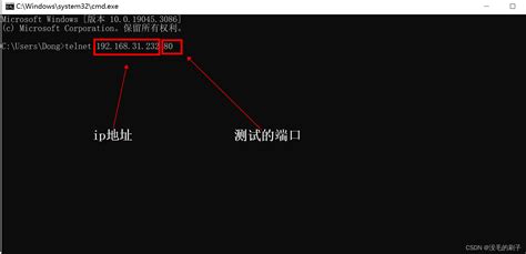 linux telnet命令怎么看端口通不通？windows 测试udp端口 - 世外云文章资讯