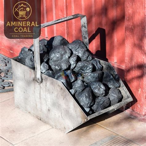 perusahaan tambang batubara di jayapura - Bangkitin