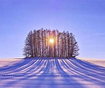 Image result for winter solstice 冬节