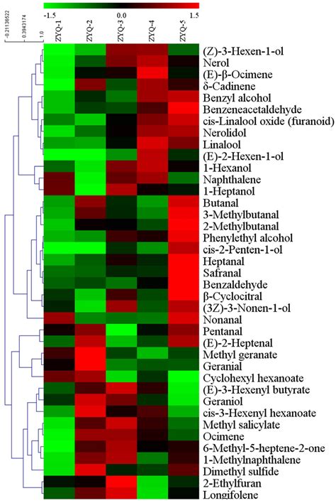Difference in Aroma Components of Black Teas Processed on Different ...