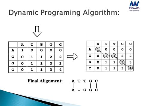 Bioinformatics Tutorial 的图像结果