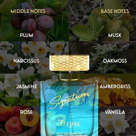 Shop Ozone Luxury Perfume for Men | Long-Lasting Fragrance for Men ...