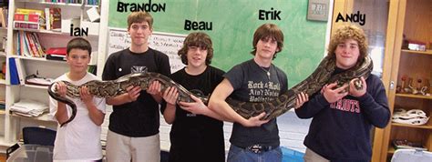 Image result for Python Boys
