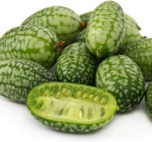 Biosnyg ROX-14 Cucamelon/Mexican Sour Gherkin (Melothria scobra)-[800 ...