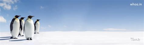 Facebook Cover Images And Pictures , Facebook Cover