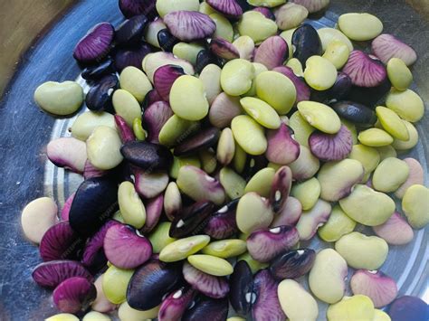 Premium Photo | A bowl of purple and green beans with purple beans.