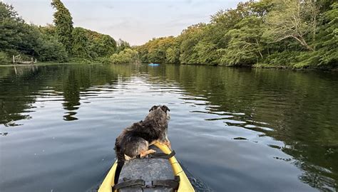 PECONIC PADDLER - All You SHOULD Know Before Going 2026 (with Photos ...
