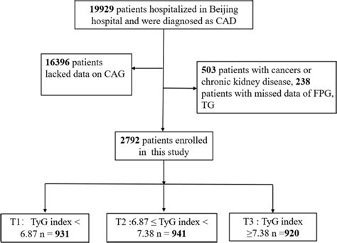 Flowchart of study participants. CAD, coronary artery disease; CAG ...