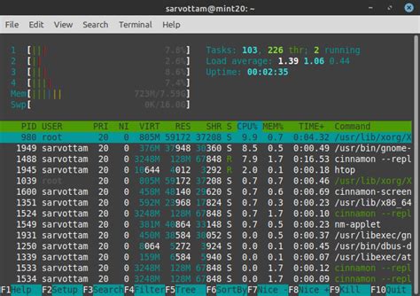 Image result for Linux Mint RAM Usage