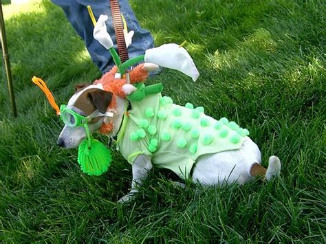 Image result for Alien Dog Costume