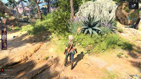 The Best Circle Of The Moon Druid Build In BG3