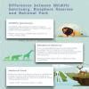 Make pictographs of any two wildlife sanctuaries giving information ...